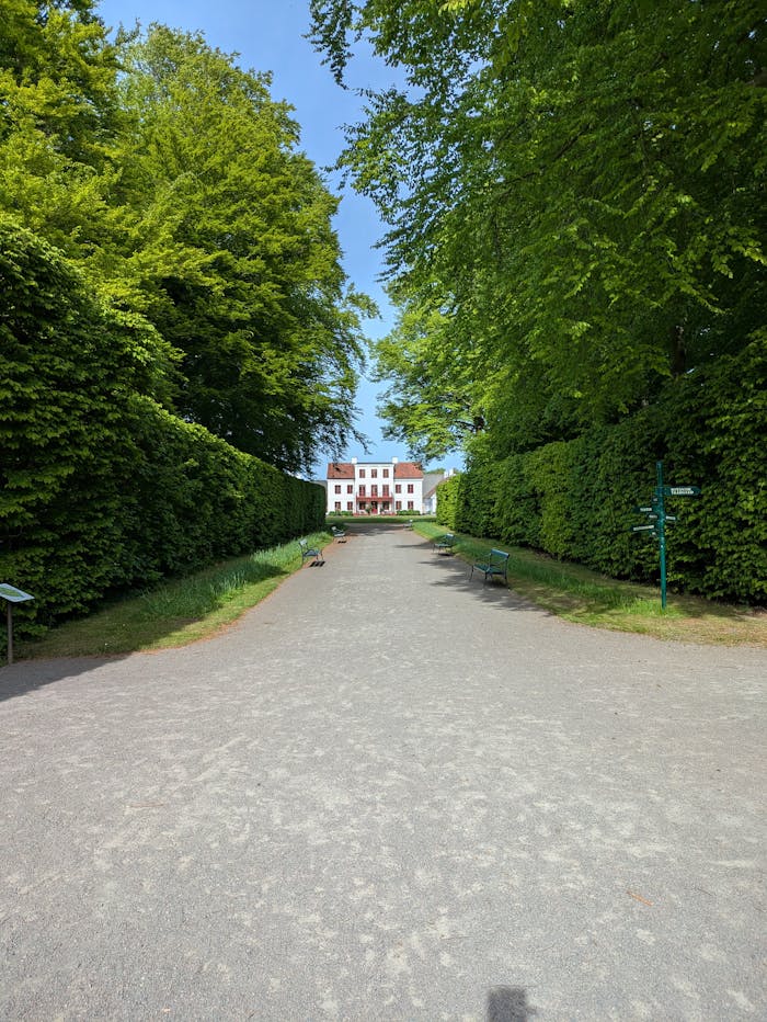 pexels photo 32067415.jpeg