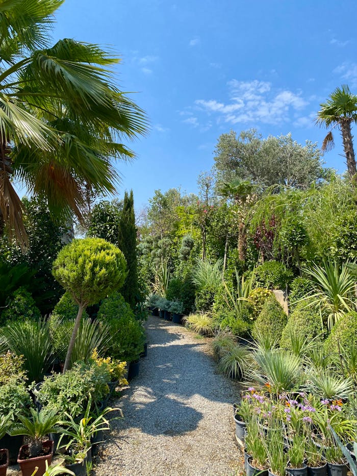 pexels photo 33387206.jpeg